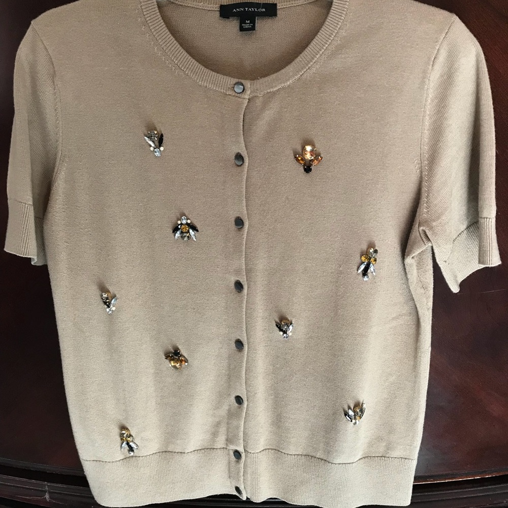 Ann Taylor bee sweater